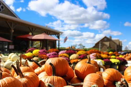 What Fall Festivals Are This Weekend