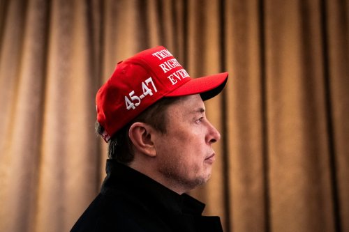 Elon Musk had the government in his grasp. Then it unraveled.