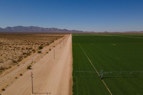 Arizona governor moves to end Saudi-owned farm’s controversial leases