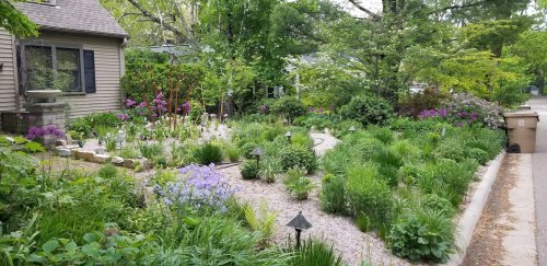 Gravel gardens save time and water. Here’s how to create one.