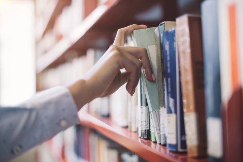 Red states threaten librarians with prison — as blue states work to protect them