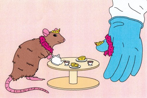 Why do we play? Rats can teach us how it improves mental health.