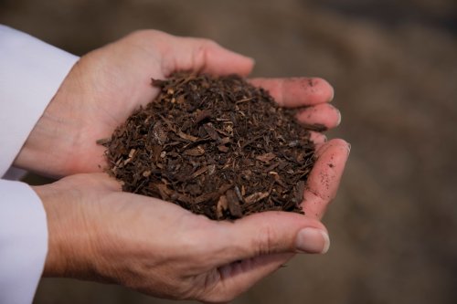 Washington passes bill to become first state to compost human bodies