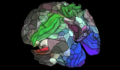 Researchers just doubled what we know about the map of the human brain