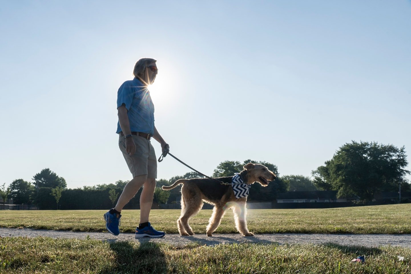 For dogs, the pandemic means more walks but new anxieties