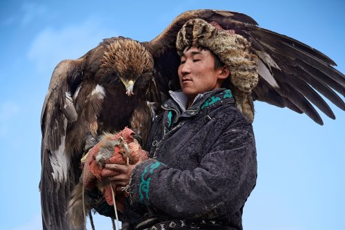 Hunting with eagles: This 4,000 year-old art is dying out in Mongolia - The Washington Post