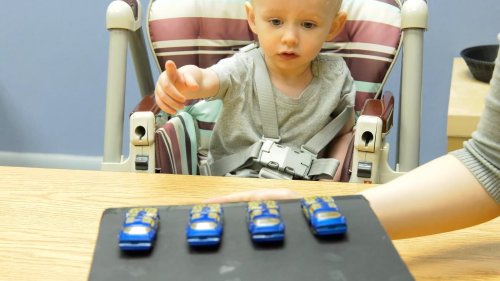 Babies understand a fundamental aspect of counting long before they can say numbers out loud, according to researcher