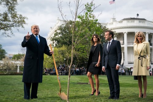 Opinion | Donald Trump, the conservationist conservative