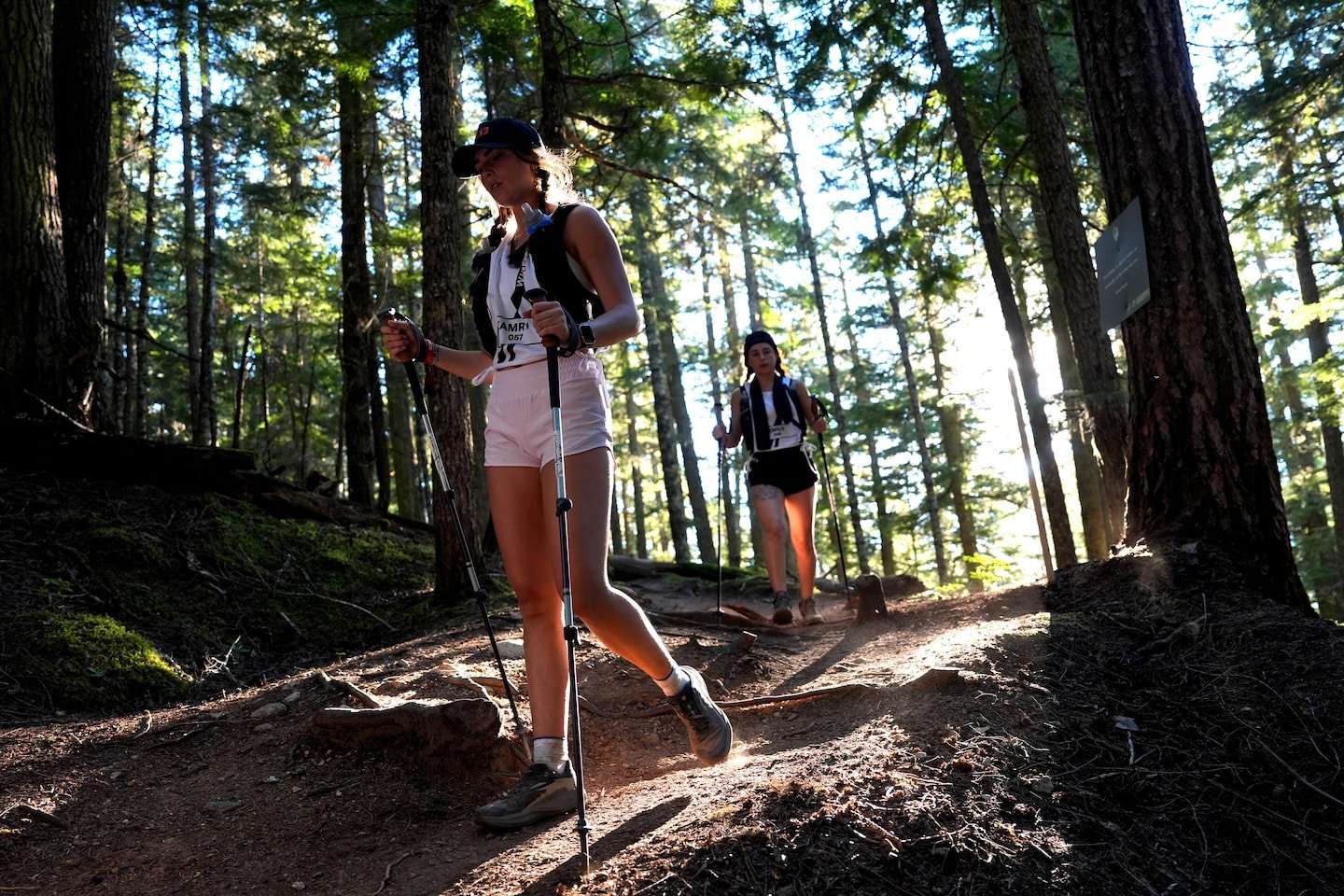 A hike through the woods feels natural. It’s anything but.