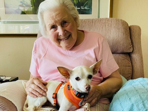 Her dog died when she was 100. At 101, she has adopted a senior pooch ...