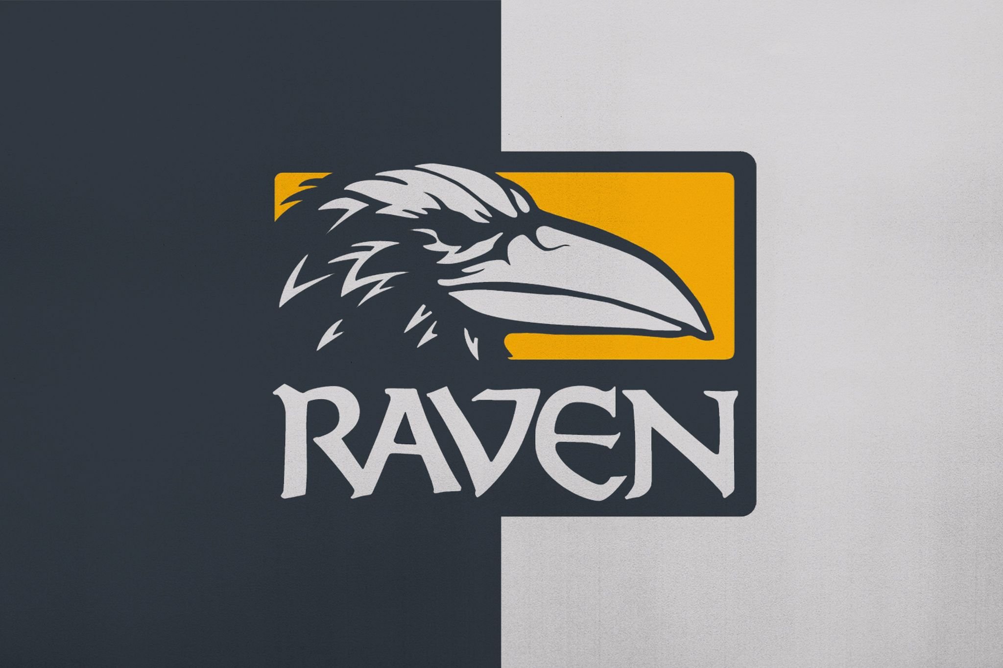 Raven software