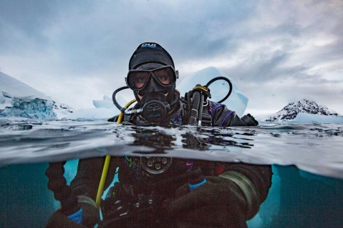 These mesmerizing photos from female divers take you to the depths of oceans
