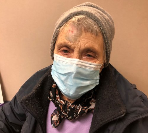 Woman Feeding Cats Suffered Brain Injury After Fireman Pushed Her 