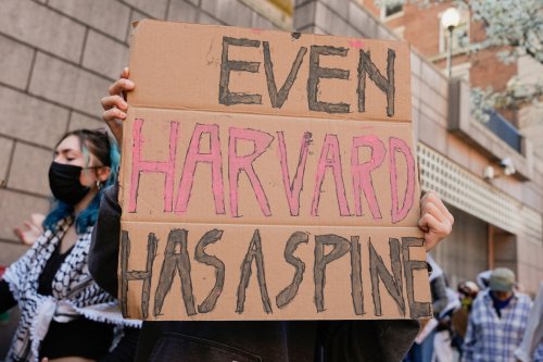 Opinion | Harvard’s fight song