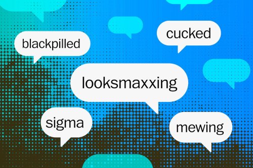 Opinion | How Gen Z took over incel slang