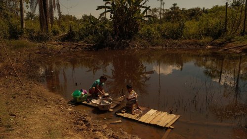 As the Amazon rainforest goes dry, a desperate wait for water