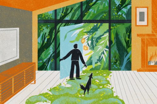 Bringing nature inside can improve your health. Here’s how to do it.