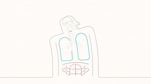 Sneeze smarter, not louder: The science of a quieter sneeze