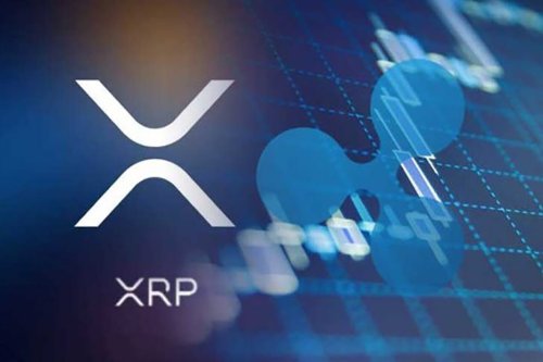 Matic Vs XRP comparison-Which One Is Best To Invest / Has More Potential?