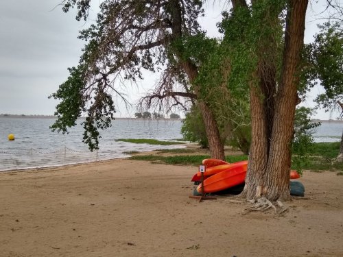 Heading to the lake? Colorado trying new tools, including P-Free lawns, to combat toxic algae