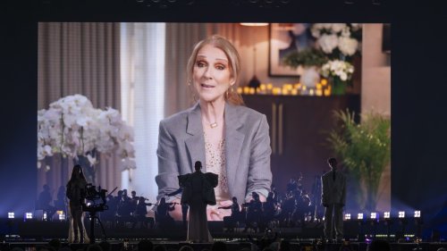 Celine Dions Privatjet offenbar in Basel + Raab, Hänni und Nemo «werben» für Deutschland