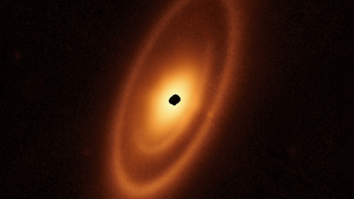 James-Webb-Teleskop macht ungewöhnliche Entdeckung – drei Asteroidengürtel um einen Stern