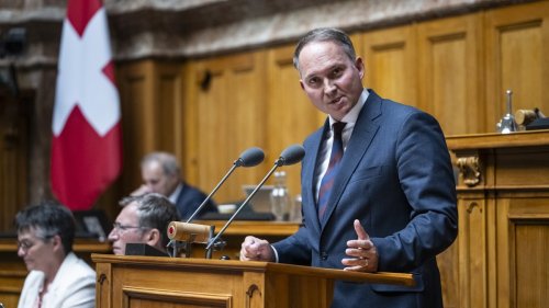 Zutrittsgebühr für Zuwanderer? Dieser Gegenentwurf zur 10-Millionen-Schweiz gibt zu reden