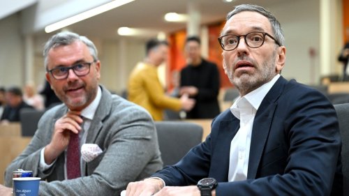 Rechte FPÖ erhält in Niederösterreich sehr viele Stimmen: «Das ist der Beginn»