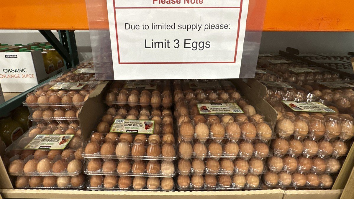 Lücken in Migros-Regalen: Eier werden global knapp, teuer – und selbst für Trump peinlich