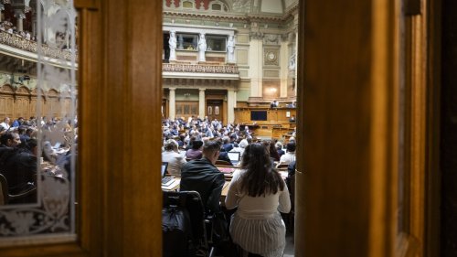 Nationalrat will engere Sicherheitspartnerschaft mit EU