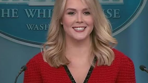 Trumps Sprecherin Leavitt wird wegen Outfit «made in China» kritisiert