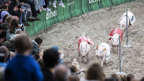 Das Wallis ist Gastkanton an der Olma 2025