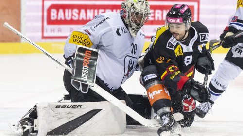 SCB nutzt lange Strafe gegen Fribourg zum Ausgleich – Zug und HCD weiterhin ohne Tor
