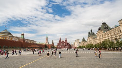 US-Amerikanerin führt Kalb in Moskau Gassi – und wird festgenommen