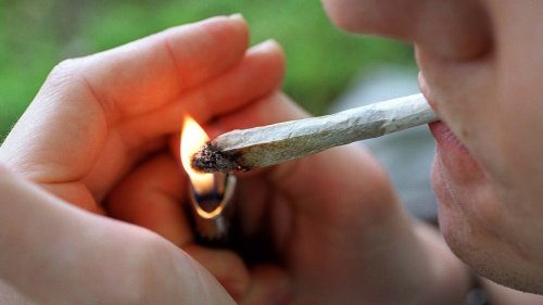 Zürcher Schwarzmarkt gerät wegen Cannabis-Studie unter Druck