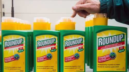 USA: Bayer muss wegen Glyphosat Milliarden an krebskranken Mann zahlen