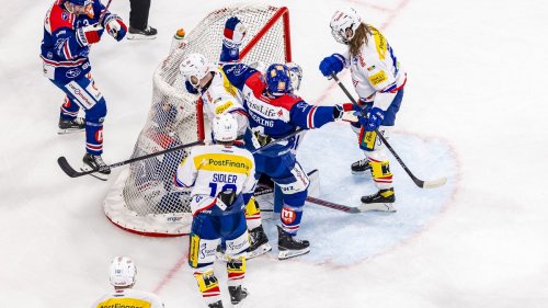 ZSC siegt dank umstrittenem Tor – Lausanne schlägt die SCL Tigers – Ajoie gewinnt erneut