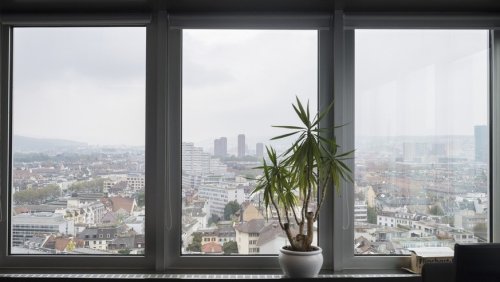 7 Profi-Tipps für die Wohnungssuche in Zürich