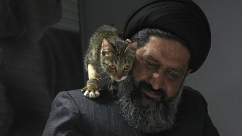 Wie ein Geistlicher aus dem Iran sich gegen die Elite stellt – wegen Tieren
