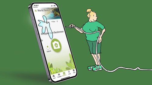 Pflanzen easy mit einer App bestimmen