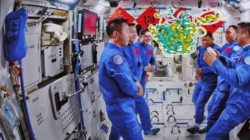 Überraschender Fund: Forscher entdecken neue Bakterienart auf Raumstation