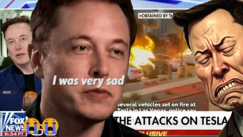 Mimimimi-Musk heult herum, weil Leute seine Autos nicht mögen: Die besten Reaktionen