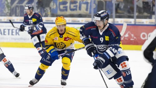 Eishockey live: Ambri empfängt nach der Derby-Niederlage den ausgeruhten HCD