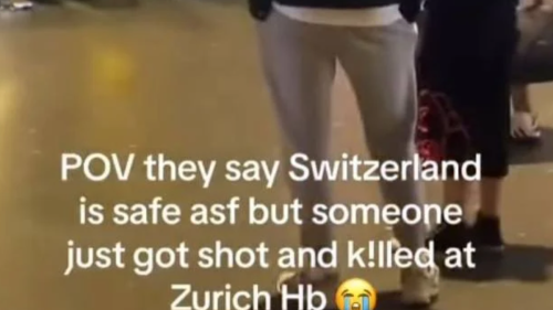 «Person am Zürcher HB erschossen» – das sind Fake News