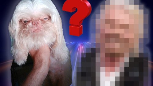 16 tierische Doppelgänger von bekannten Persönlichkeiten