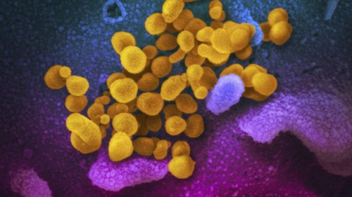 Coronavirus: Alle News zur aktuellen Situation