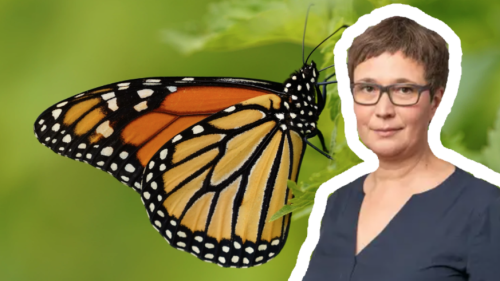 Interview: «Die Biodiversitätskrise ist mindestens so wichtig wie die Klimakrise»