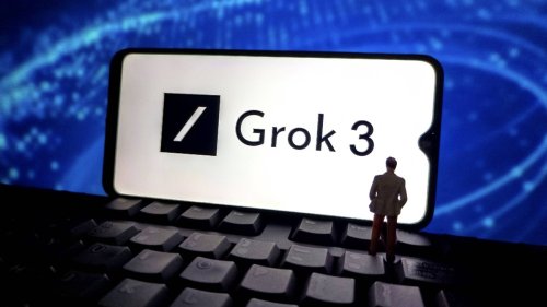 Musks KI-Bot Grok erzählte stundenlang vom «Genozid an Weissen» in Südafrika