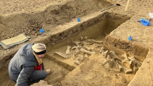 Neues aus der Welt der Archäologie: Schlachtplatz für Mammuts in Österreich entdeckt