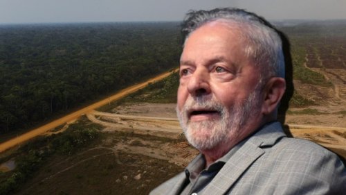 Hoffnung für den Amazonas: So will Lula den Regenwald retten
